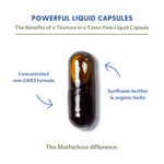 Load image into Gallery viewer, Motherlove More Milk Plus Special Blend Capsules